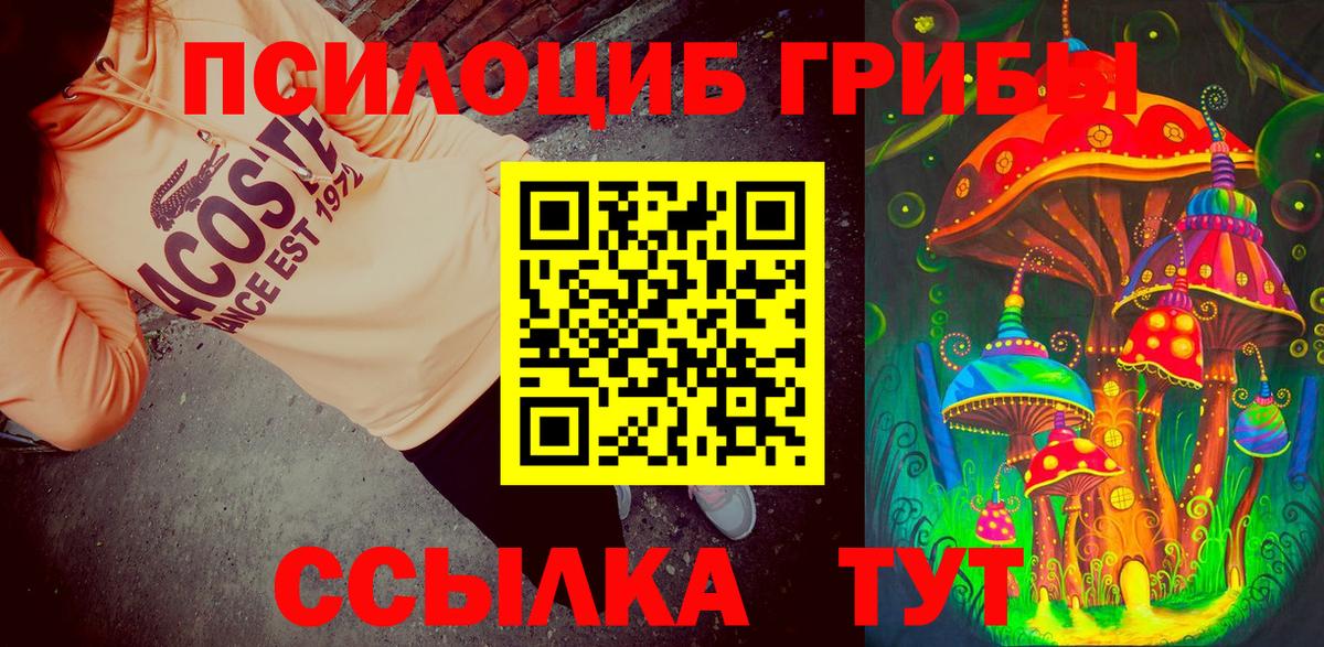 Псилоцибиновые грибы MAGIC MUSHROOMS  Вход с VPN  Ахтубинск 